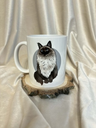 Kubek Ragdoll (różne umaszczenia)